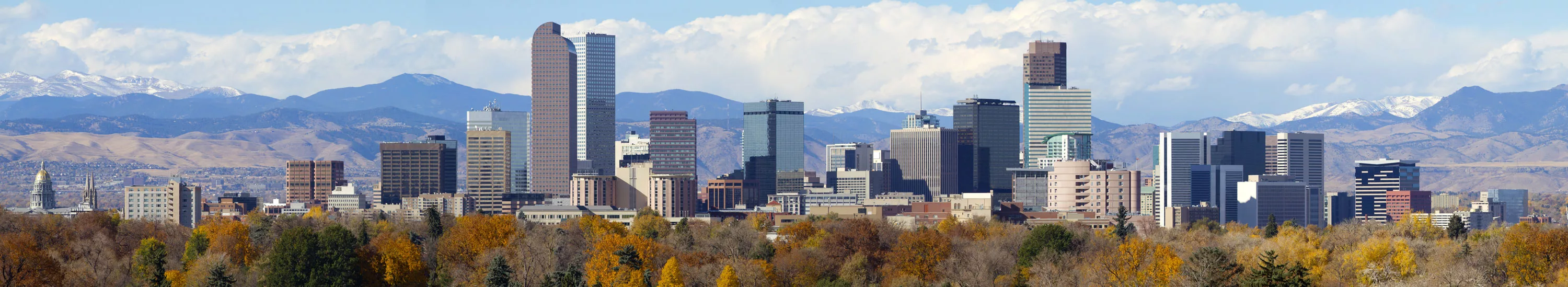Denver Colorado Skyline