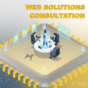 WordPress Web Solutions Consultation by Affordic